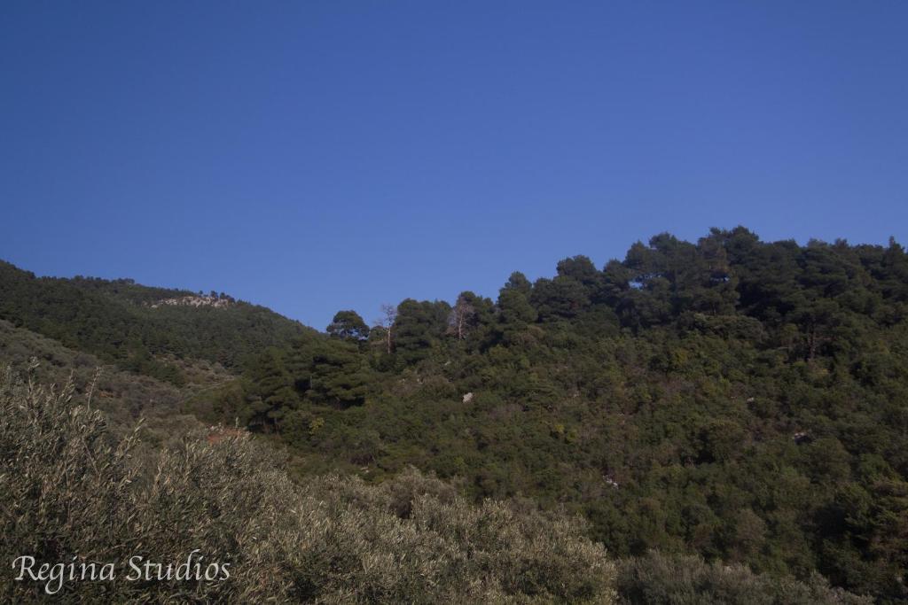 Panormos  Skalopati Studios & Villa מראה חיצוני תמונה