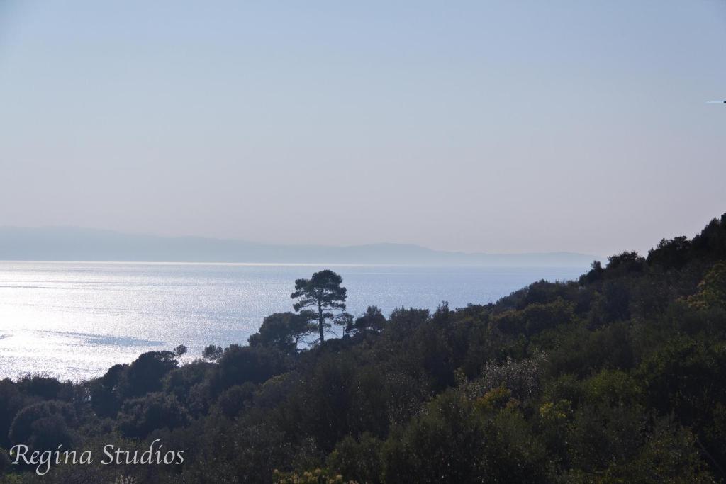 Panormos  Skalopati Studios & Villa מראה חיצוני תמונה